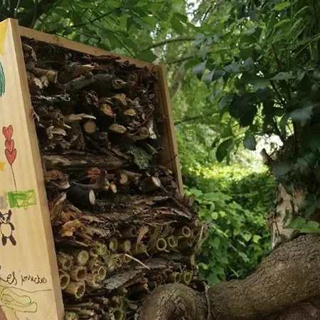 36m² Avec Terrasse Pour 5 Personnes - - Api-1-52-569 캠프장