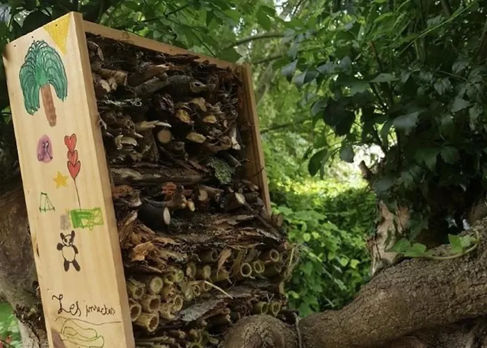 Camping 36m² Avec Terrasse Pour 5 Personnes - - Api-1-52-569 Coulon